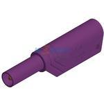 LAS S WS VIOLET