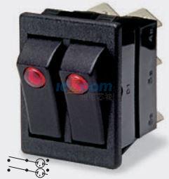 C5503PTNAM