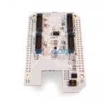 BB-BONE-RF-01