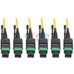 N392-30M-3X8-AP