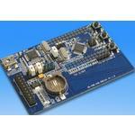 SK-FM0-V48-S6E1A1