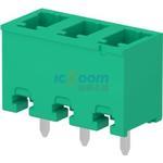 CTM100P1