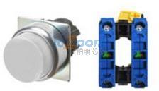 A22NN-RPM-NWA-G101-NN