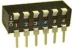 DBP 8010