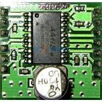 AM306227R1DBGEVB