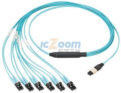 FZ8HP6NLSSNF017