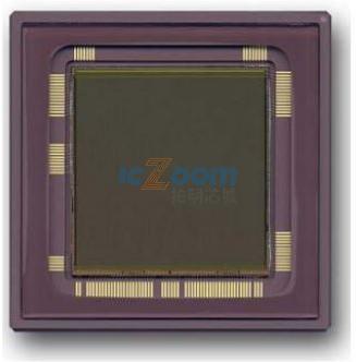 CYIL1SM4000AA-GDC