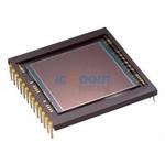 KAF-1001-AAA-CP-AE