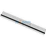 AP 119-02/G-N