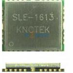 SLE-1613
