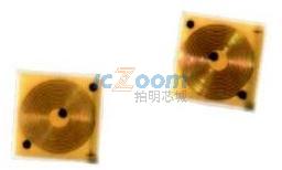 GC9011-202
