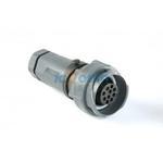 PXP7011/02P/ST/0911