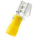 EDV10-250P-Q