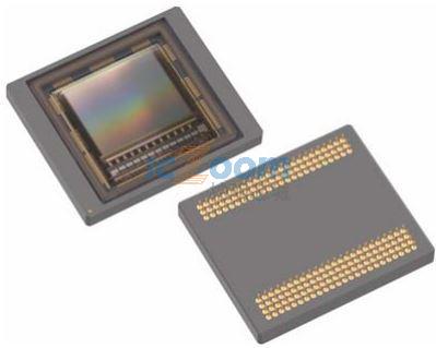 CYIL2SC1300AA-GZDC