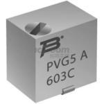 PVG5A500C03R00