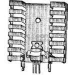 CLP-206