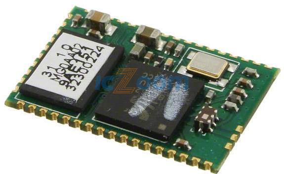 ABBTM-2.4GHZ-31-T