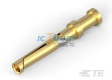T2020012008-000