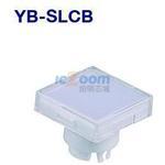 YB-SLCB