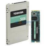 KSG60ZSE256G