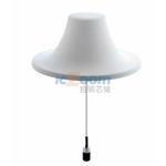 CMS38606-30NF