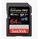 SDSDXXY-064G-GN4IN