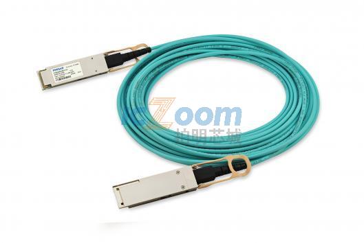 FCBN425QB1CX0