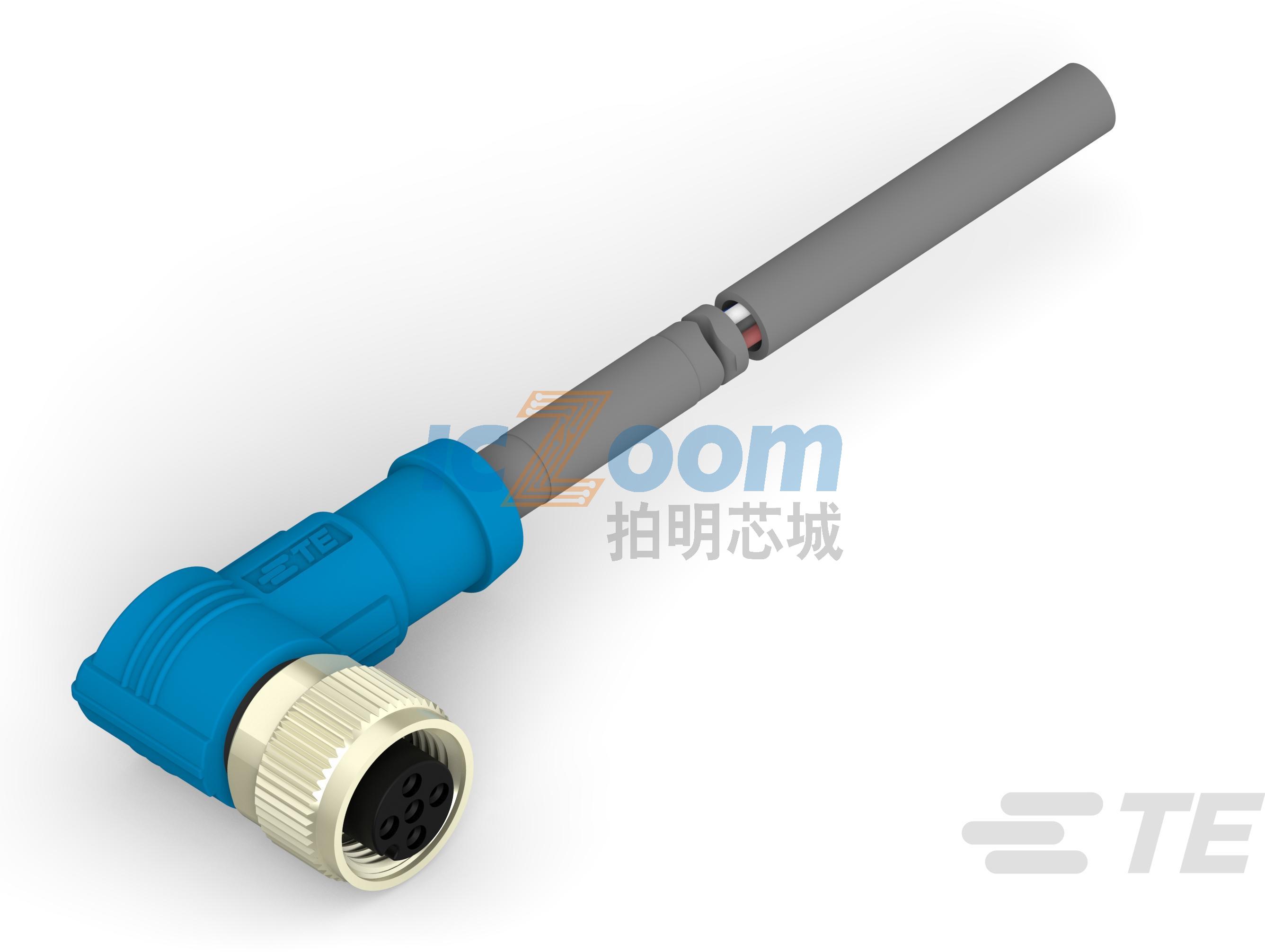 T4161420005-004