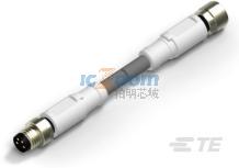 T4062123004-001