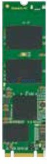 SFSA030GM3AA2TO-C-LB-22P-STD