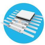 FP-8989-05-31R6-F