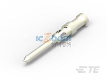 T2020001005-000