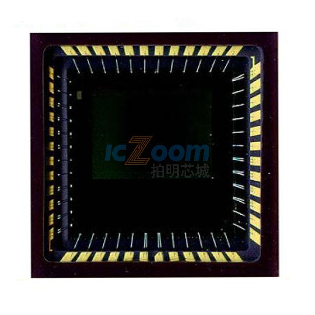 CYIL1SM0300AA-QWC