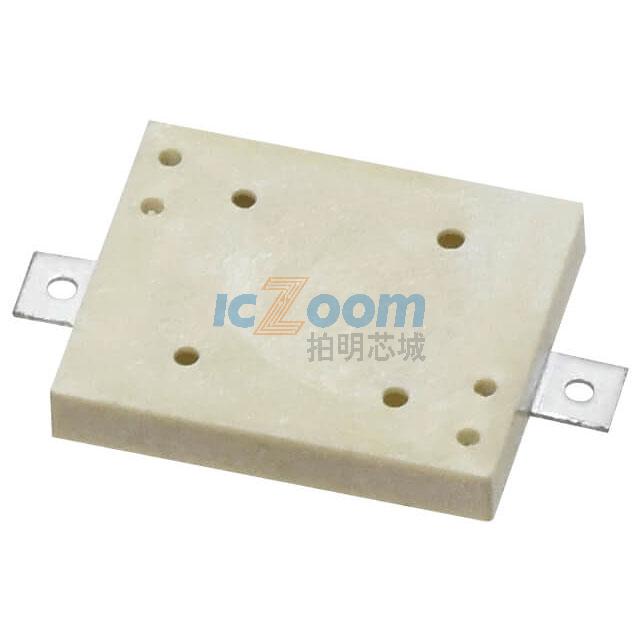 CPT-1117-83-SMT-TR