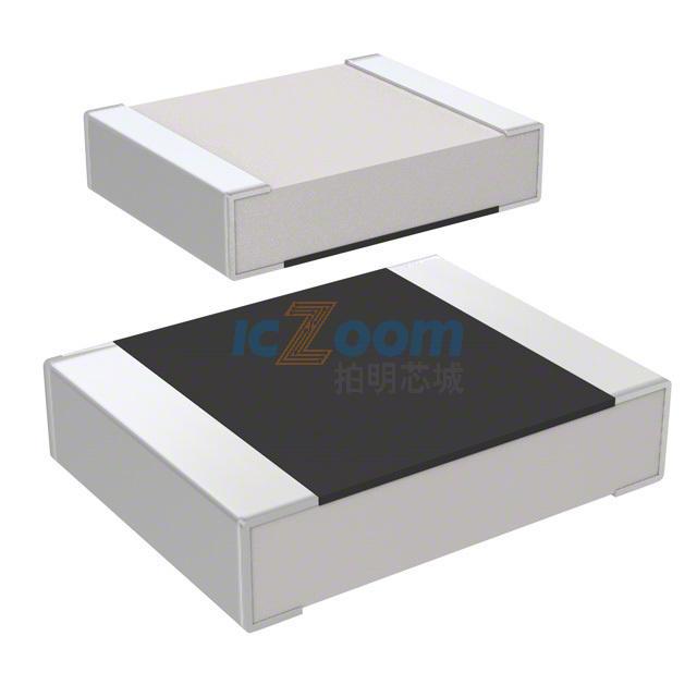 RC3225F106CS