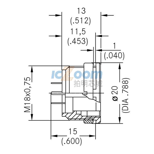 T 3638 304