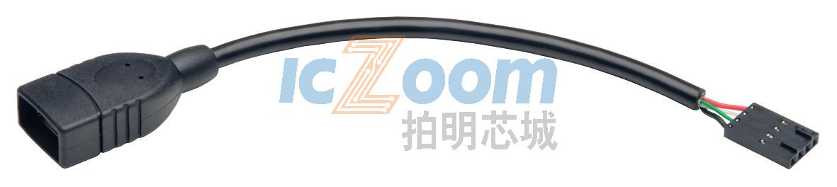 U024-06N-IDC