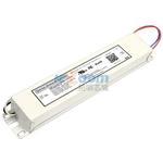 LED100WPS1-24