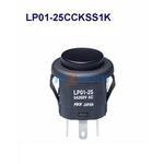 LP01-25CCKSS1K
