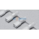 ICTDN 480820-FA