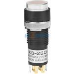 KB25CKG01-6B-JB