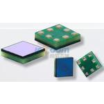 1010BI-SMT