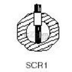 SCR1-58-2010