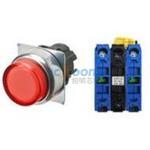 A22NL-RPM-TRA-G101-RB