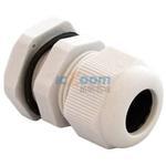 IPG-222164-G