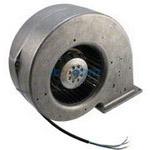 G2E146-BF01-35