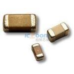 1210W226K160NX110
