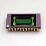 G11135-256DD