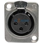 XLR10