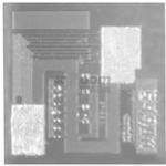 SFP12001FKANHWS